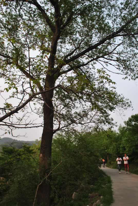 �����{��Ӽo(j��)��(sh��)