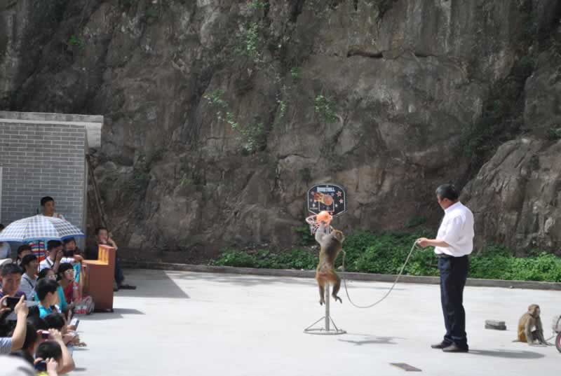 Ʒ519ՃӰL(fng)^(q)[