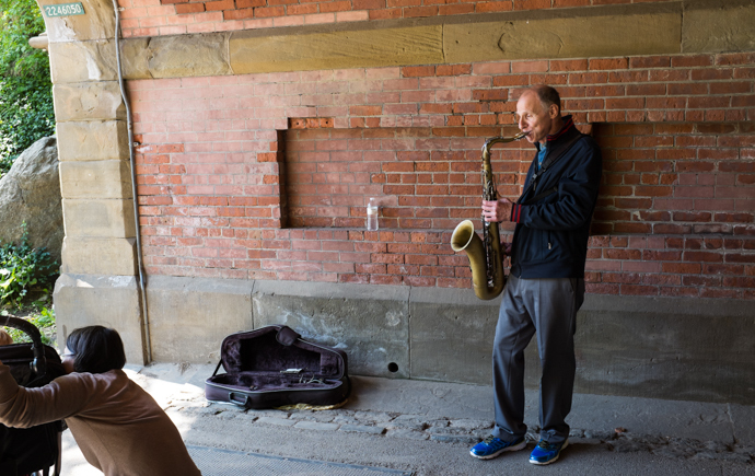 網(wǎng)站建設(shè)的平民藝術(shù)