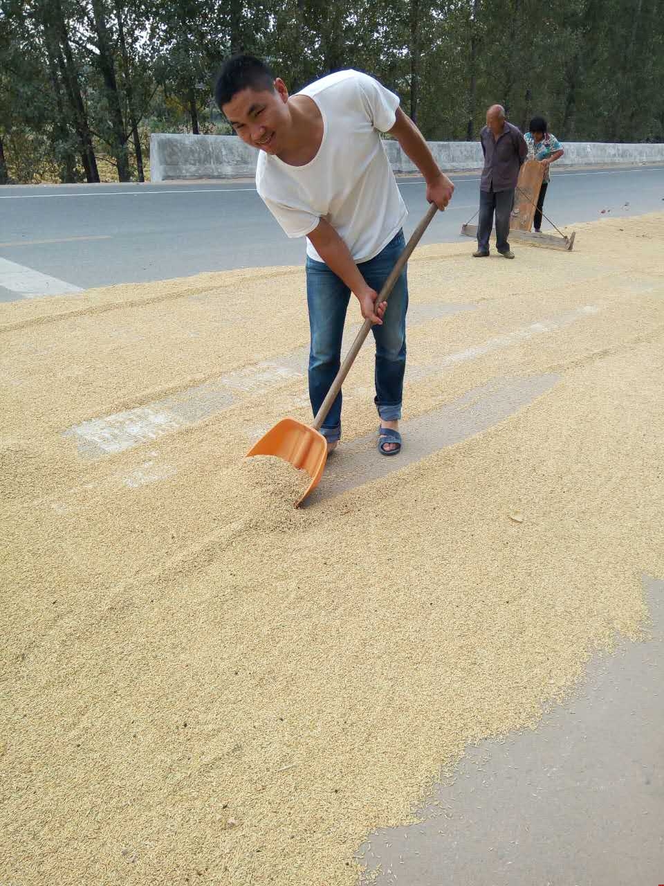 浩方團(tuán)隊(duì)陳經(jīng)理陪雙親勞動(dòng)www.axyouyongchi.com 浩方團(tuán)隊(duì)陳經(jīng)理陪雙親勞動(dòng)www.axyouyongchi.com