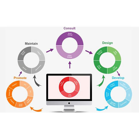 W(wng)վOľW(wng)j˾߀ڿPCXվ֙CW(wng)վOԽԽҪ