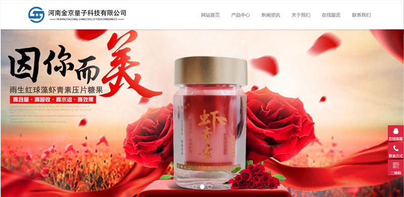 河南金京量子科技有限公司網(wǎng)站建設(shè)完成