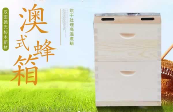 長(zhǎng)葛華木蜂具