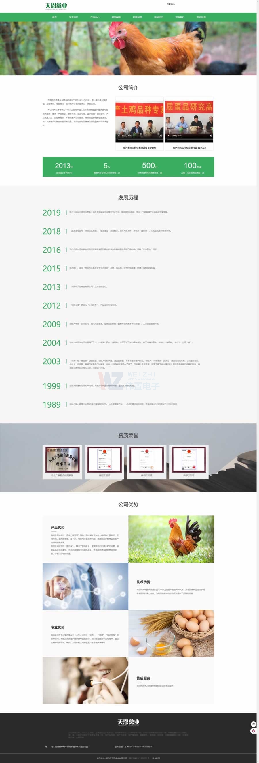 滎陽天恩禽業(yè)關于我們頁建站效果 滎陽天恩禽業(yè)關于我們頁建站效果
